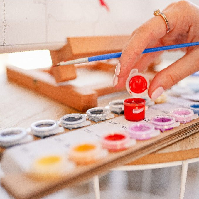 EXTRA FÄRG - måla efter nummer - paint by numbers