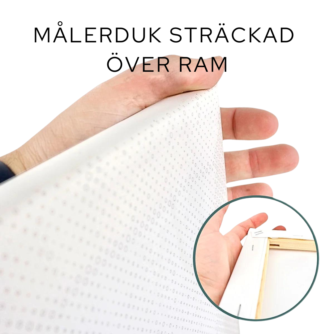 POINT MAALAAMALLA OMAA KUVAASI