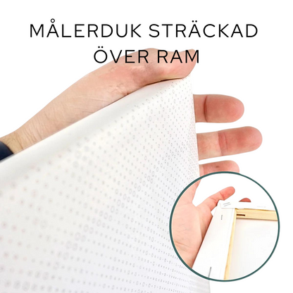 POINT MAALAAMALLA OMAA KUVAASI