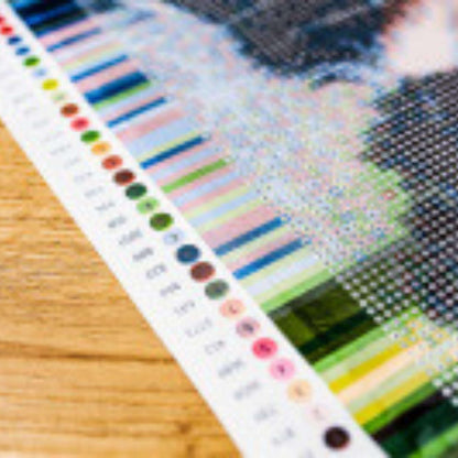 FOTO TAVLA - diamond painting snabb leverans - Många storlekar