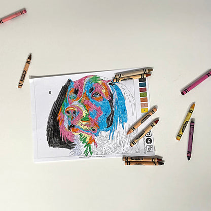 KOIRA - ilmainen maali numeron mukaan